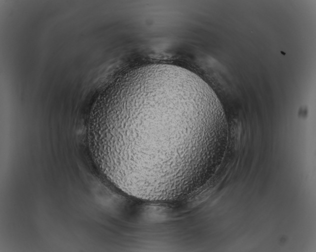 X0000091560614200708241817