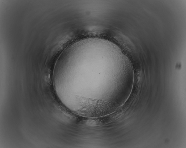 X0000091560615200708241817