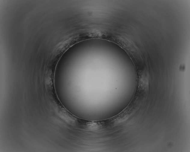 X0000091560616200708241817