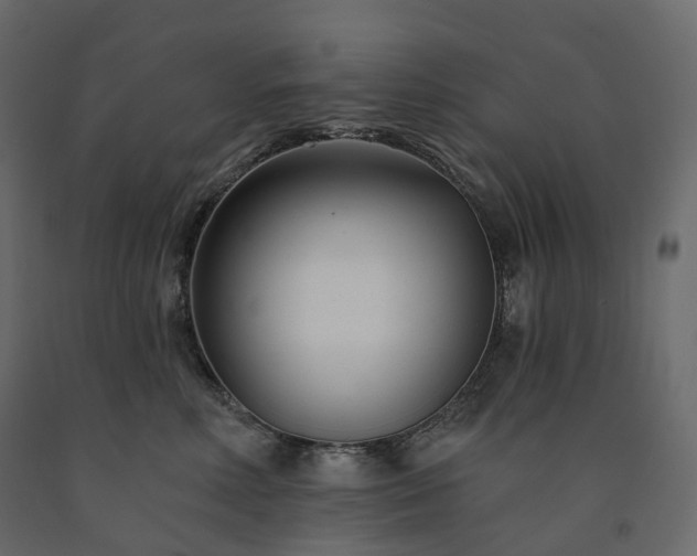 X0000091560618200708241817