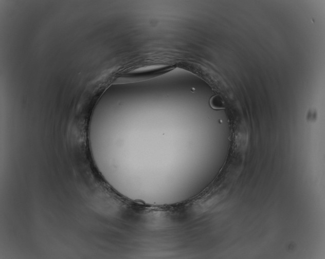 X0000091560620200708241817