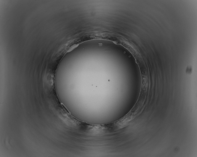 X0000091560621200708241817