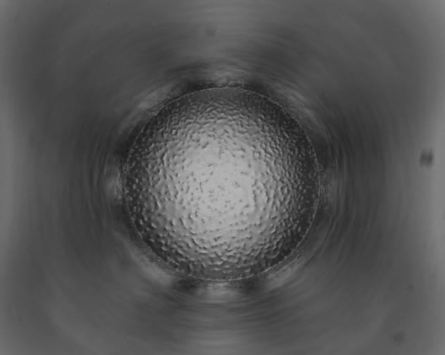 X0000091560622200708241817