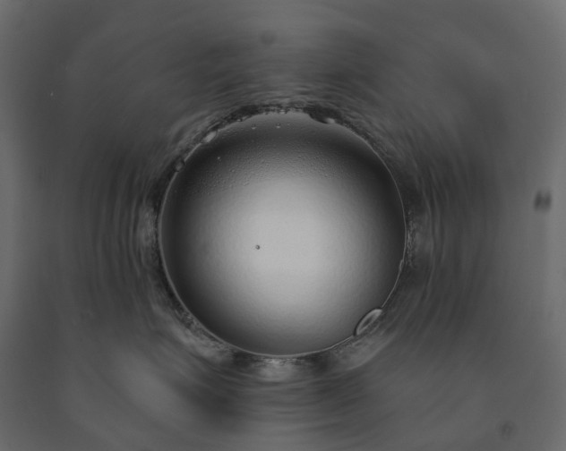 X0000091560623200708241817