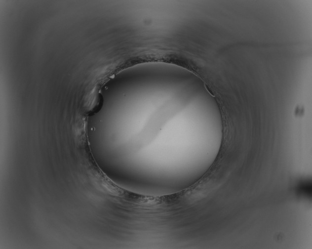 X0000091560624200708241817