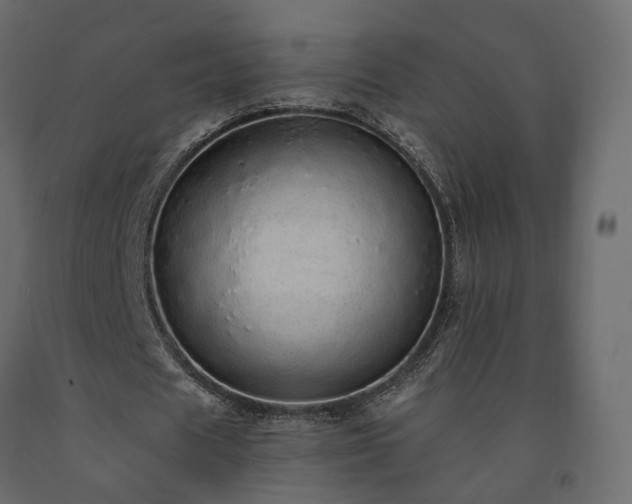 X0000091560625200708241816