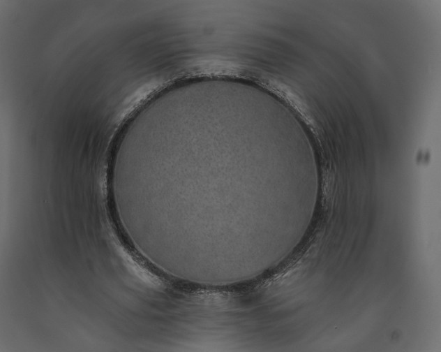 X0000091560629200708241816