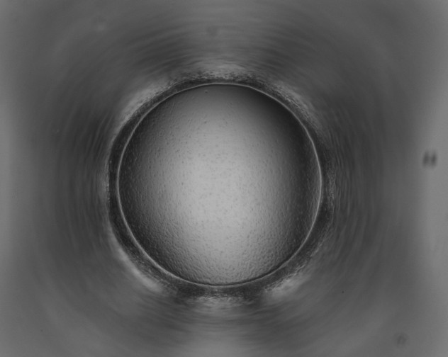 X0000091560630200708241816