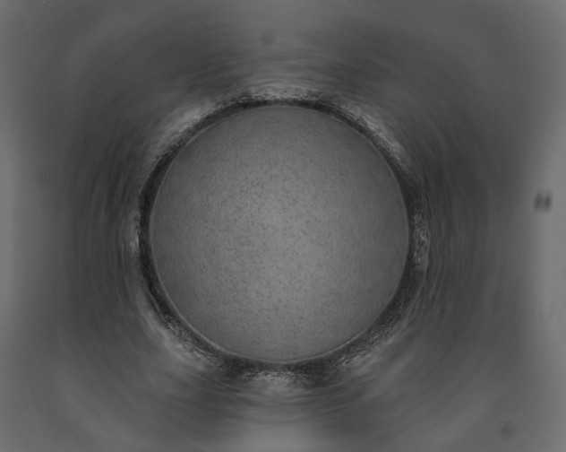 X0000091560631200708241816