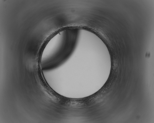 X0000091560632200708241816