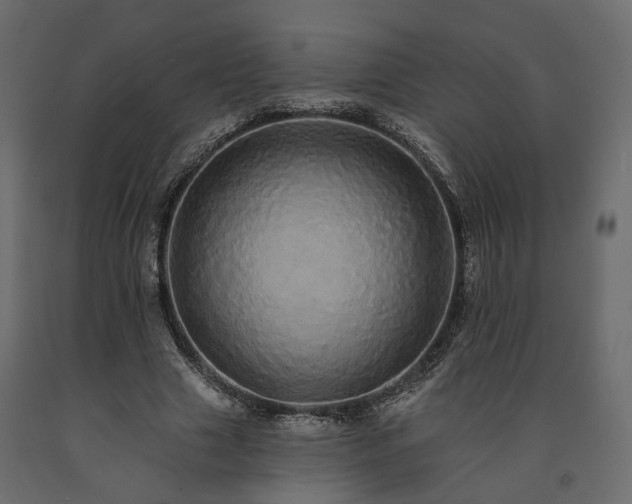 X0000091560633200708241816