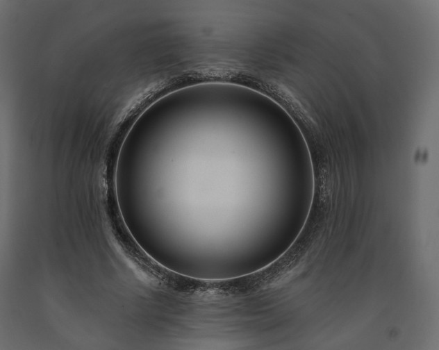 X0000091560634200708241816