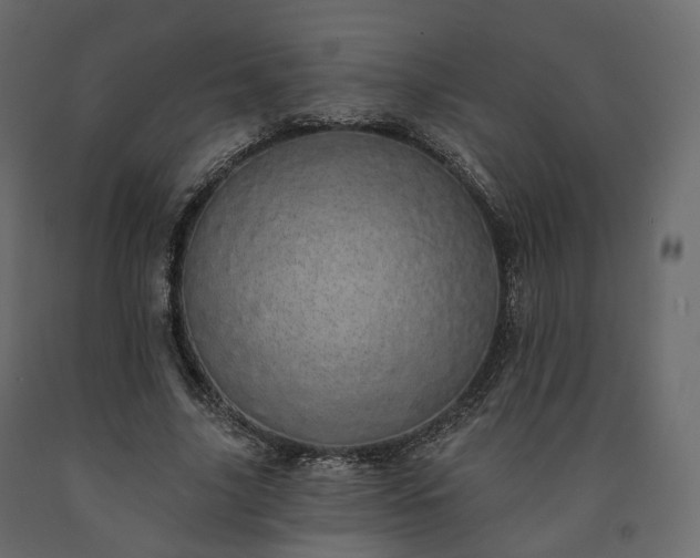 X0000091560635200708241816