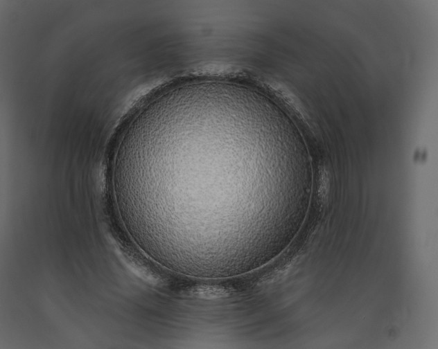 X0000091560636200708241816