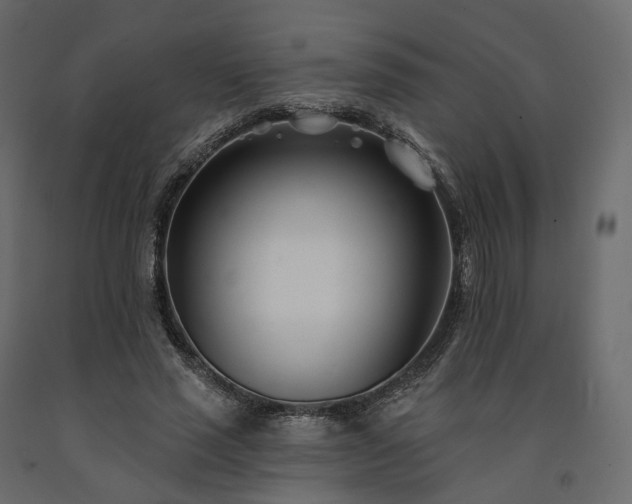 X0000091560637200708241816