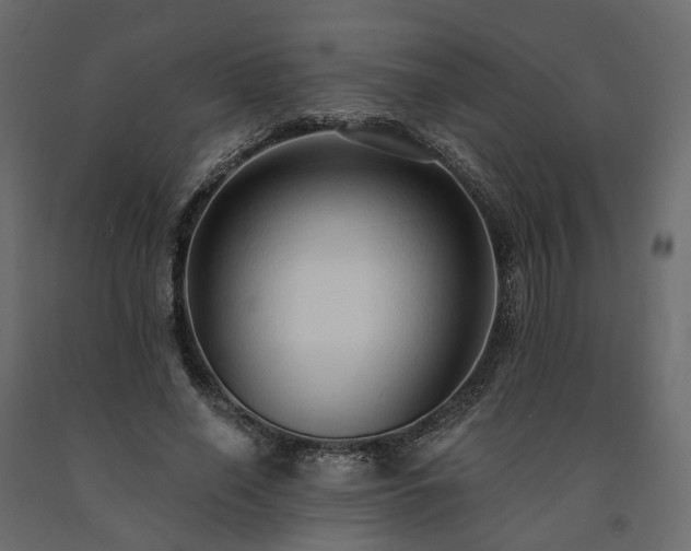 X0000091560638200708241816