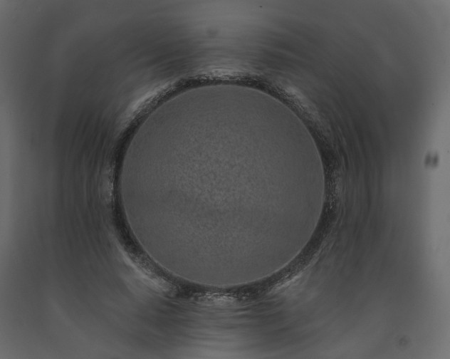 X0000091560640200708241816