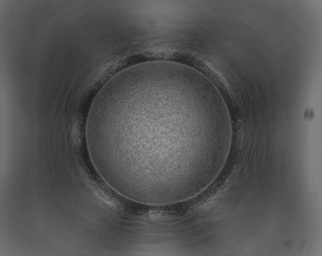 X0000091560641200708241816