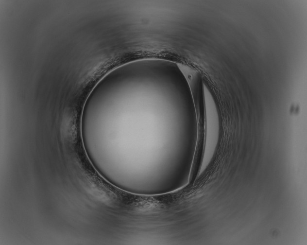 X0000091560642200708241816