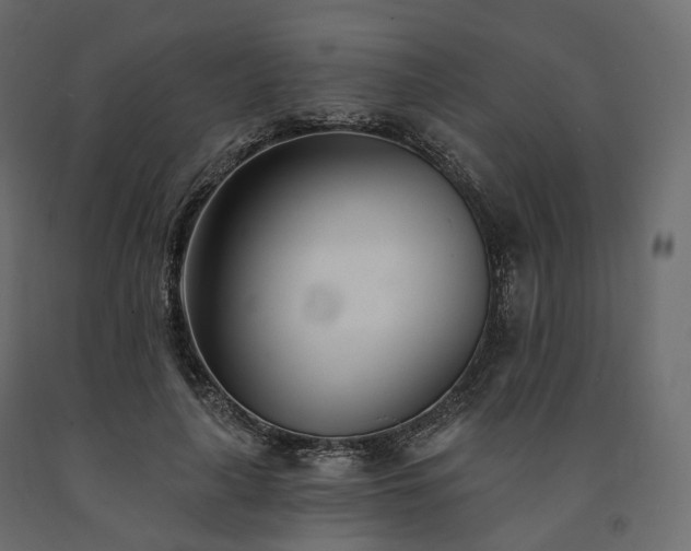 X0000091560643200708241816