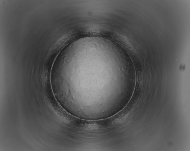 X0000091560645200708241816