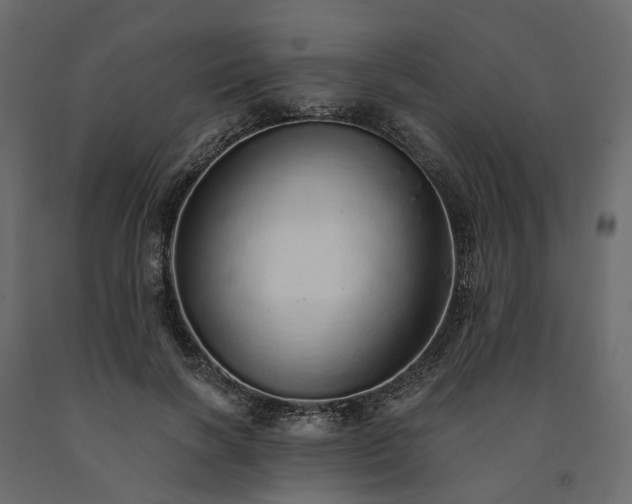 X0000091560646200708241816