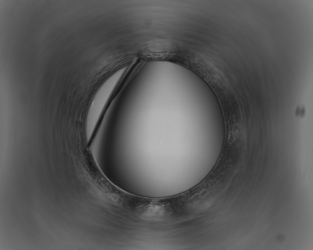 X0000091560647200708241816