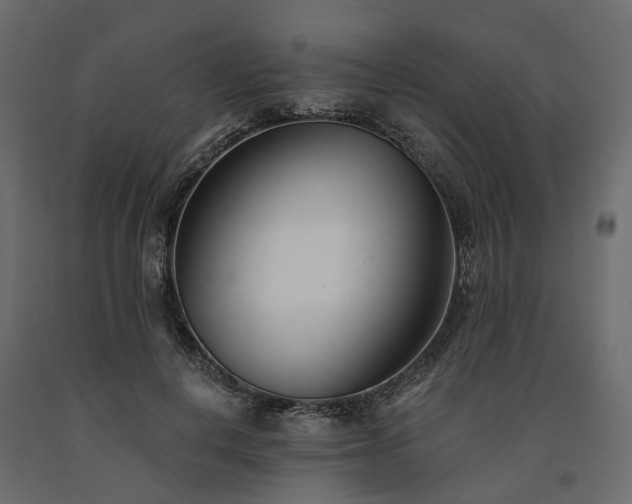 X0000091560648200708241816