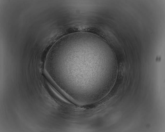 X0000091560650200708241816