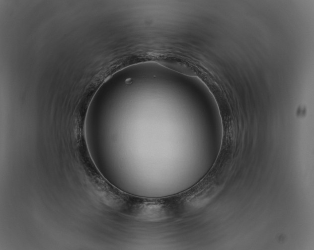 X0000091560651200708241816