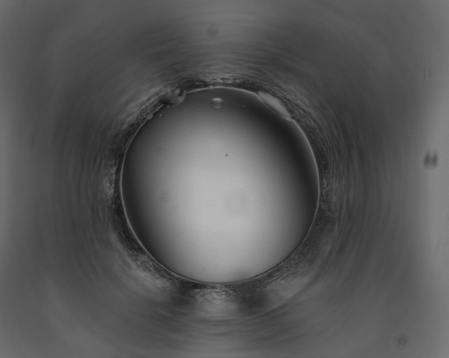 X0000091560652200708241816