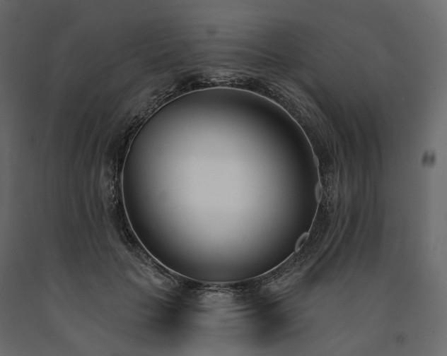 X0000091560653200708241817