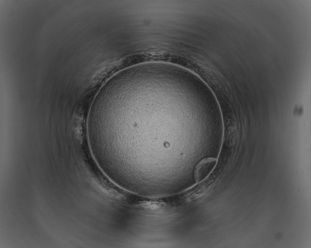 X0000091560654200708241817