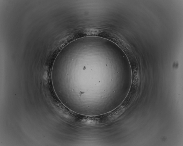 X0000091560655200708241817