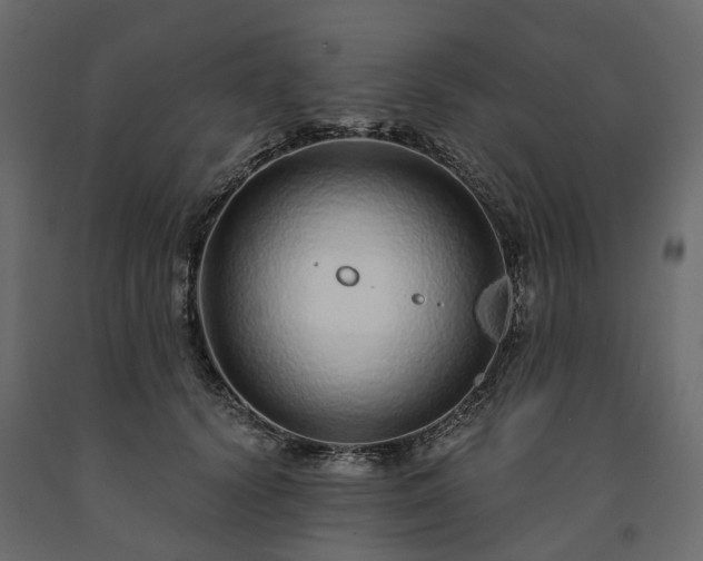 X0000091560656200708241817