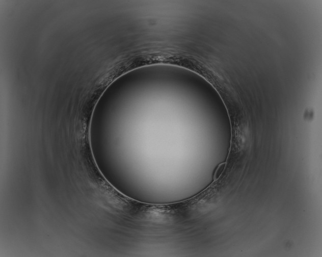 X0000091560657200708241817