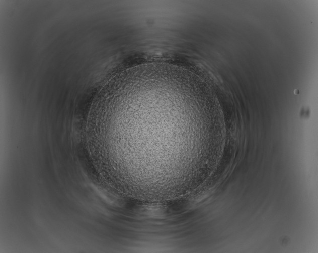 X0000091560659200708241817