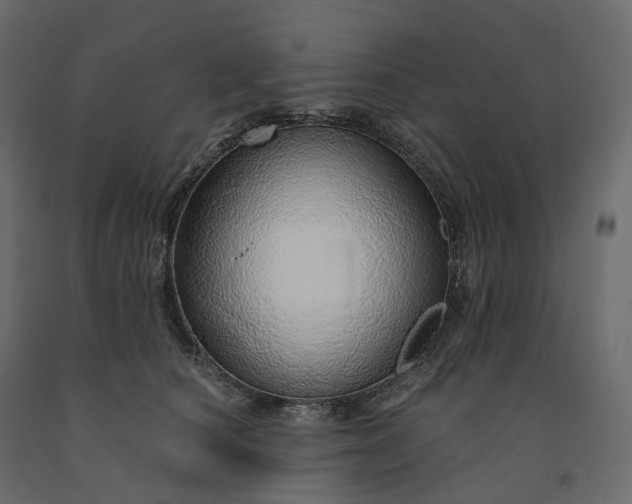 X0000091560660200708241817