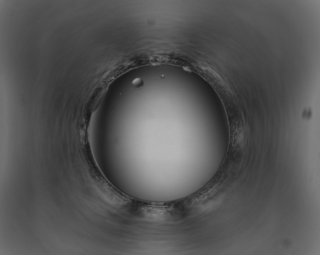 X0000091560661200708241817