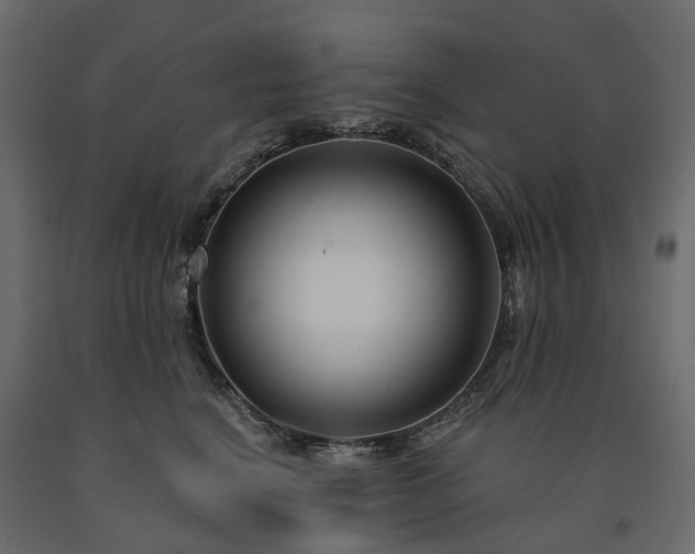 X0000091560664200708241817