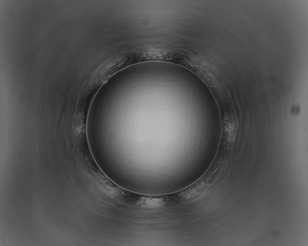 X0000091560665200708241817