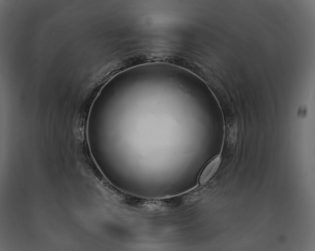 X0000091560666200708241817