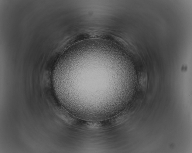 X0000091560667200708241817