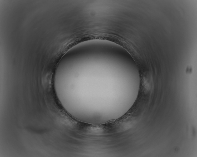 X0000091560668200708241817