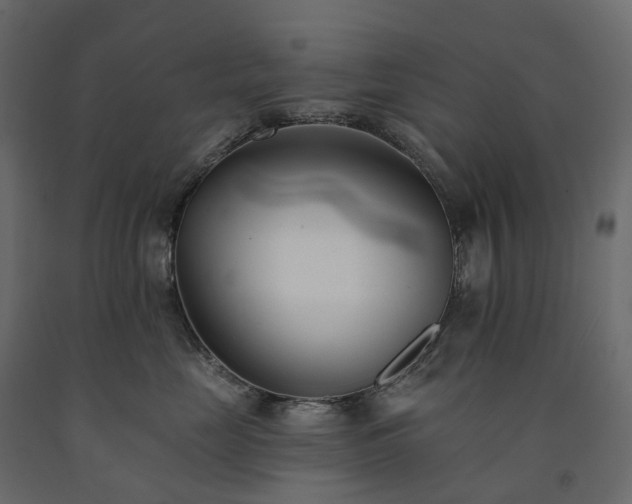 X0000091560669200708241817