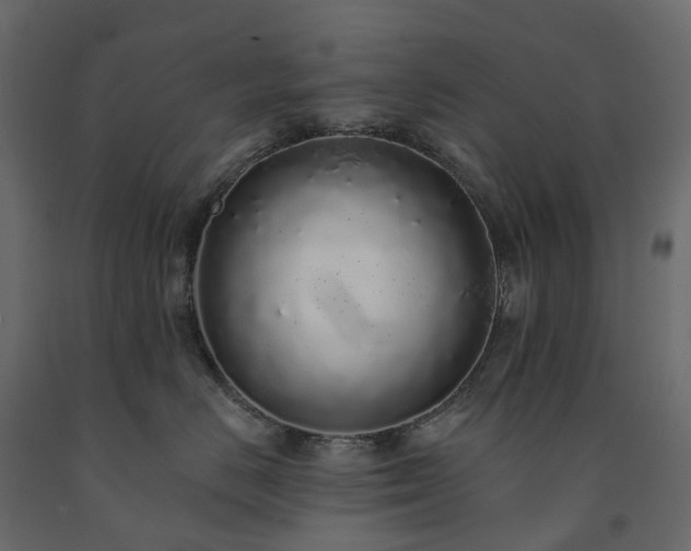 X0000091560670200708241817