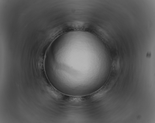 X0000091560671200708241817