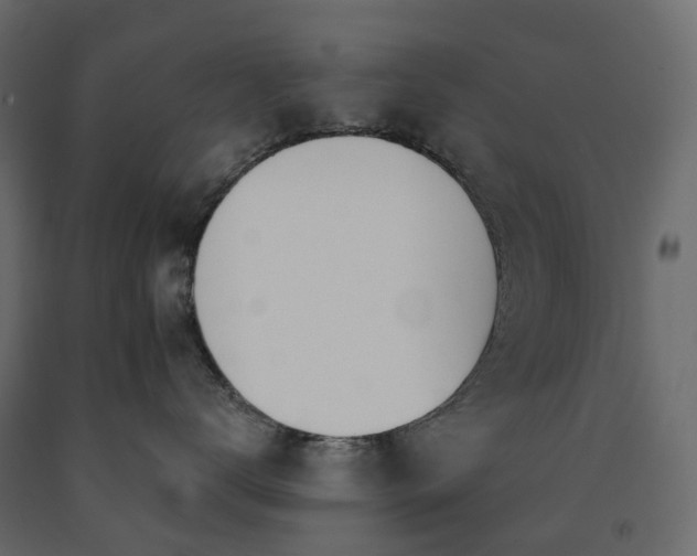 X0000091560672200708241817