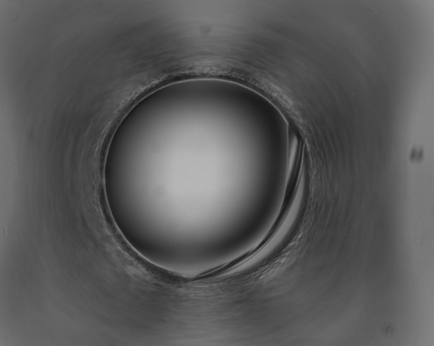 X0000091560673200708241816