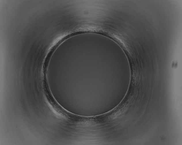 X0000091560674200708241816